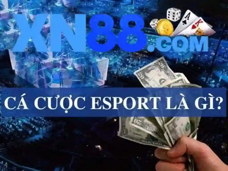 xn88: nền tảng trực tuyến và trải nghiệm người dùng