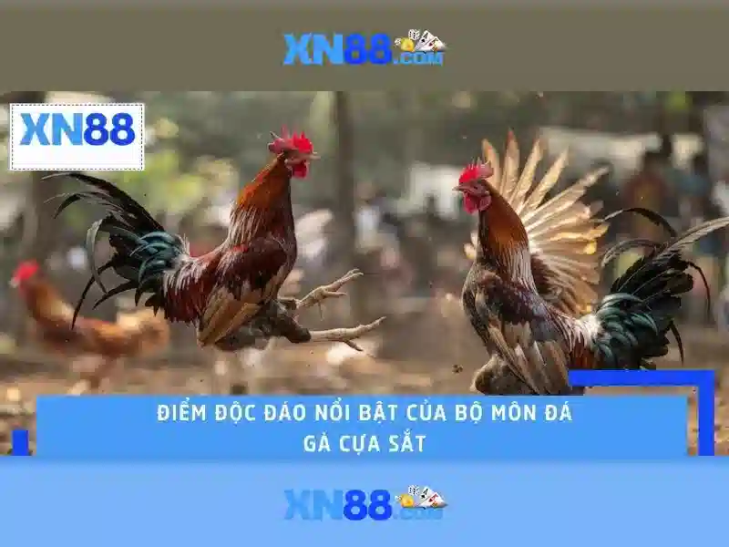 XN88: Nền tảng giải trí và cược trực tuyến