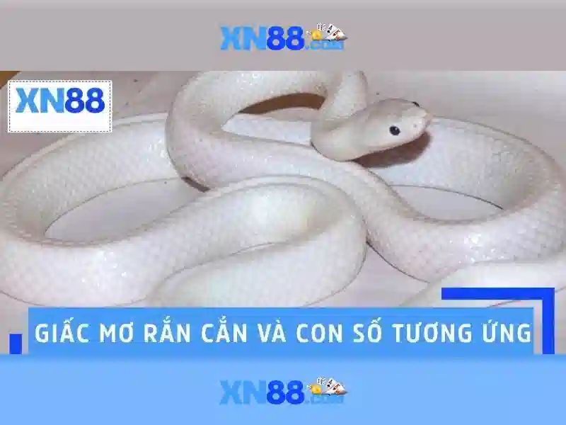 Tổng quan về xn88: nền tảng trò chơi trực tuyến và đánh giá an toàn