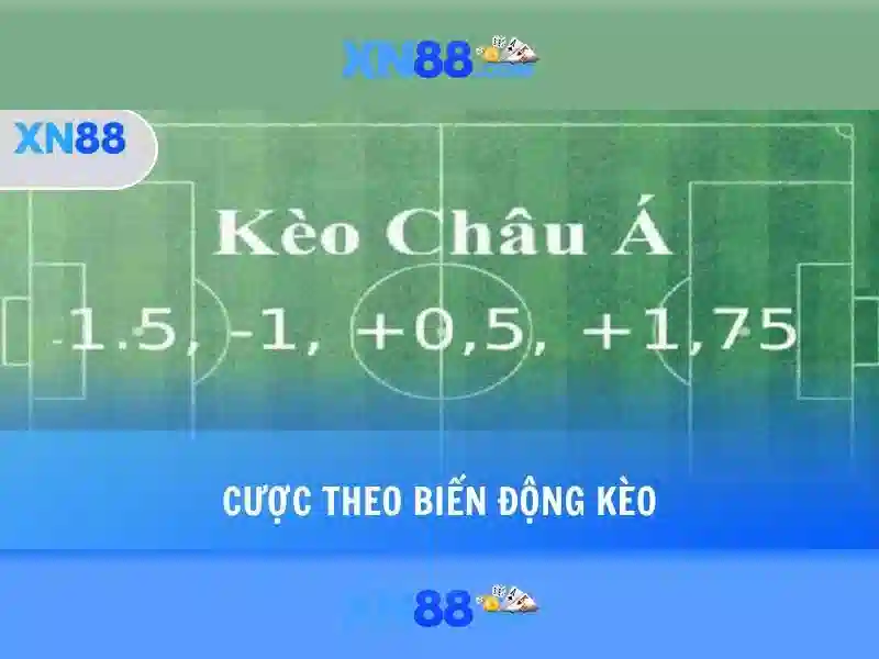 xn88: Tổng quan và hướng dẫn an toàn
