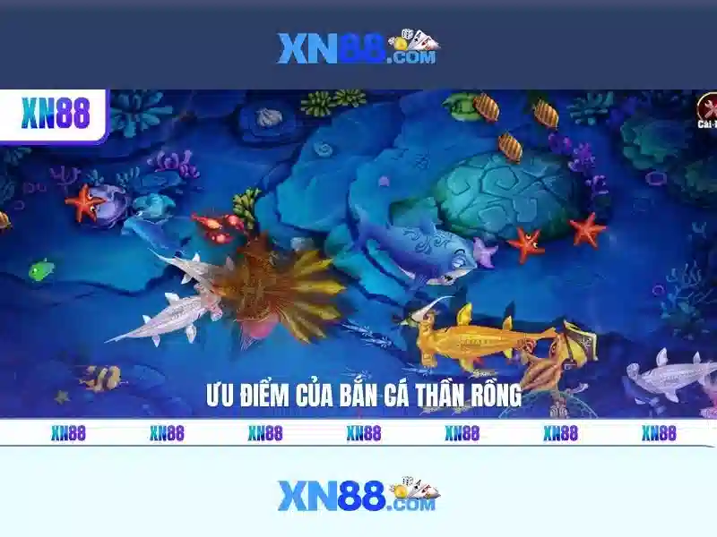 Xn88 là gì và những điều cần biết