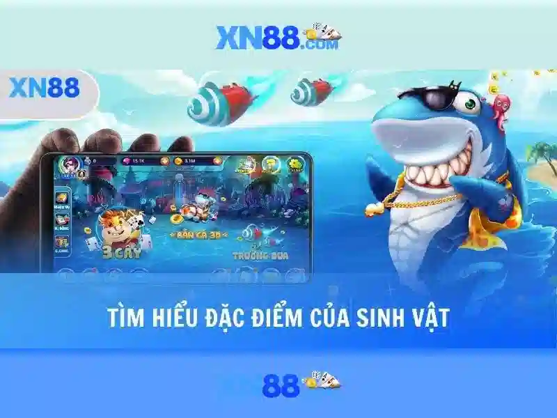 xn88: Tổng quan và các dịch vụ nổi bật ở nền tảng trực tuyến