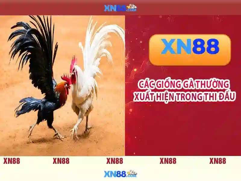 Các tính năng nổi bật