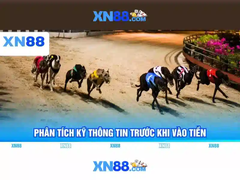 Lịch sử và nguồn gốc