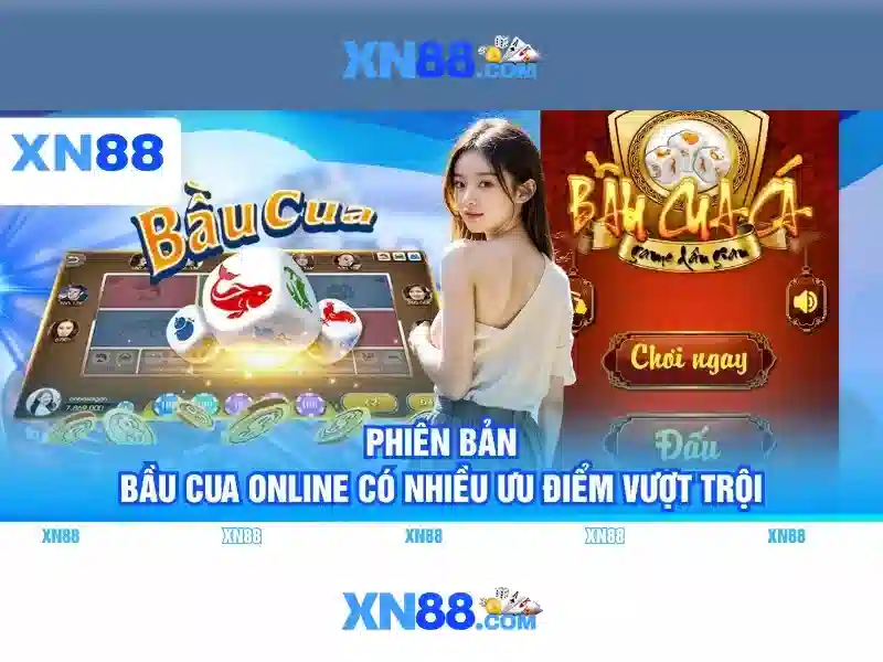 Hỗ trợ khách hàng và trải nghiệm người dùng\n