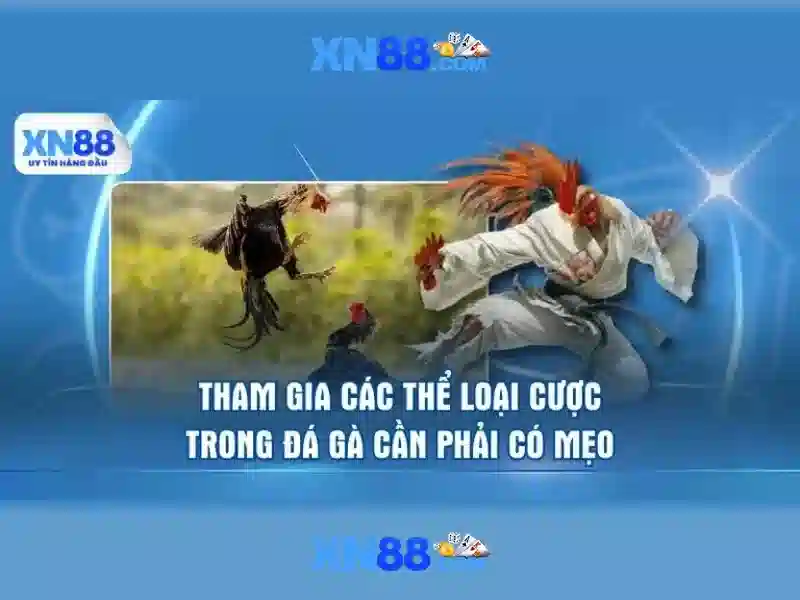 xn88: Mot nen tang ca cuoc truc tuyen