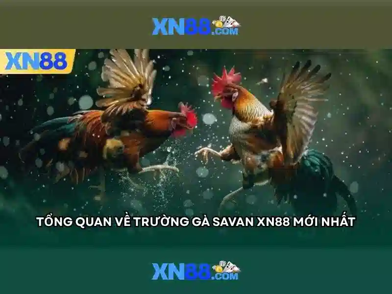 Các tính năng nổi bật