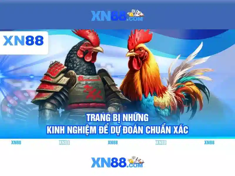 Hỗ trợ người dùng và cộng đồng