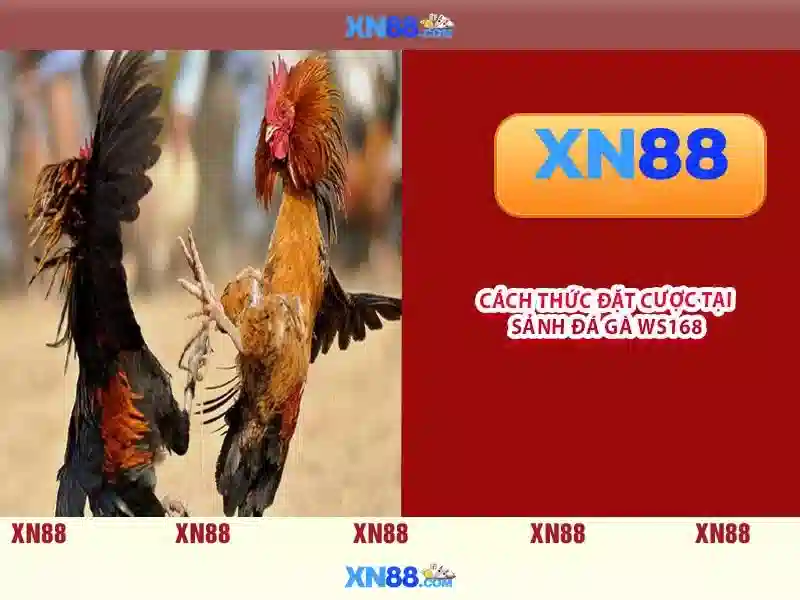 Nguon goc va su men cua gem xn88