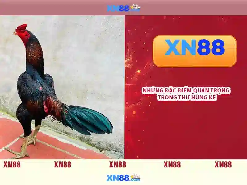 Độ tin cậy và an toàn\n\n