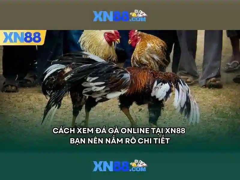 XN88: Tổng quan, trò chơi và an toàn