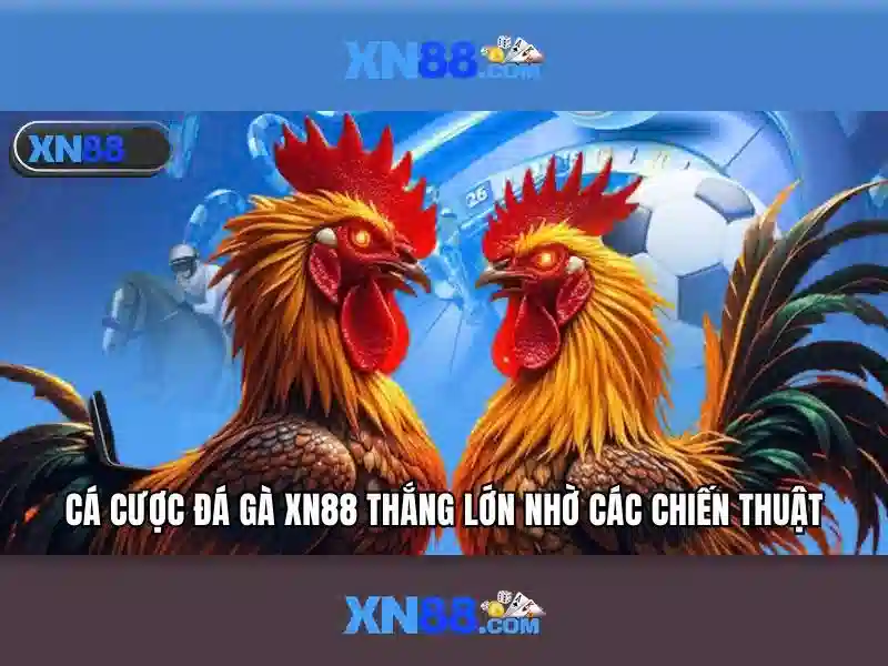 Gioi thieu ve xn88