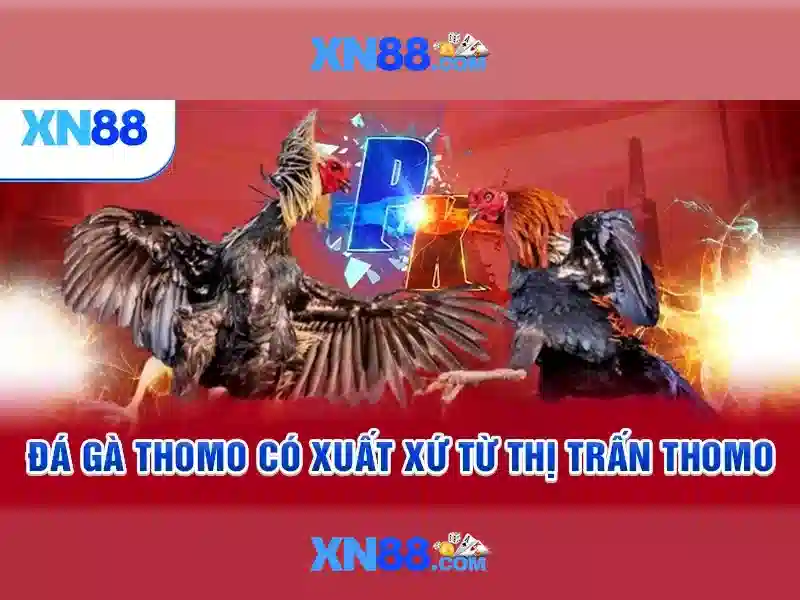 xn88 – Nền tảng cược trực tuyến phổ biến và an toàn