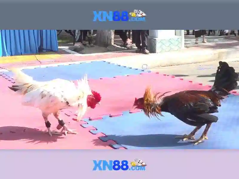 xn88: Khám phá nền tảng trò chơi trực tuyến