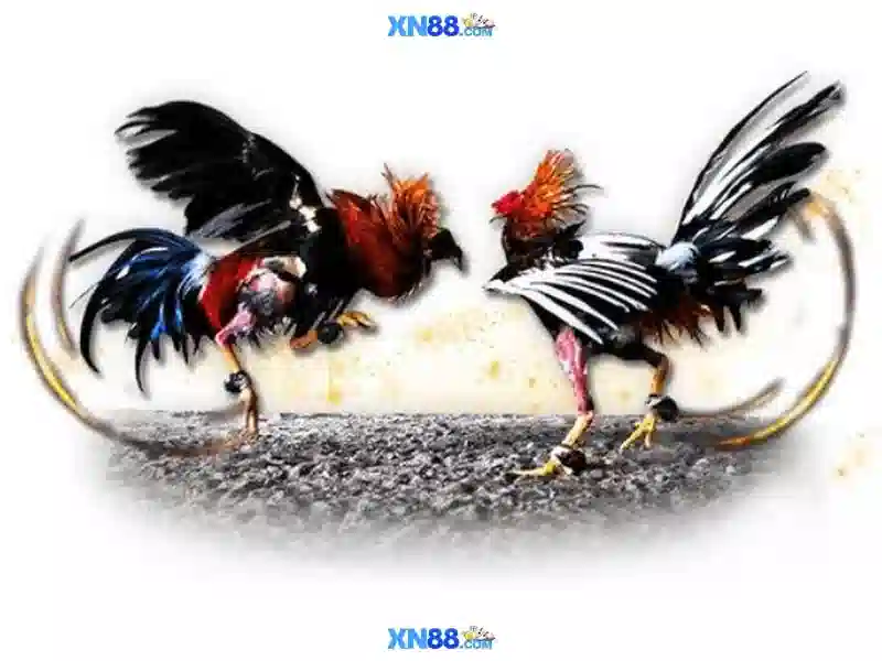 tai ap xn88 – Tổng quan chủ đề và giá trị cốt lõi