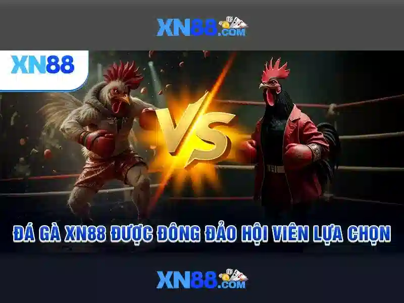 Tương lai của XN88 
