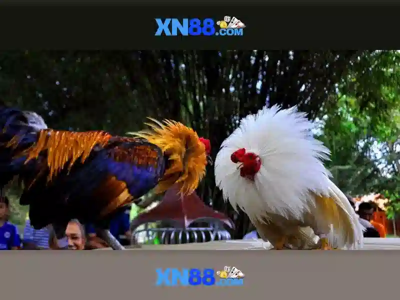 xn88 uy tín không – Nguồn gốc và sứ mệnh