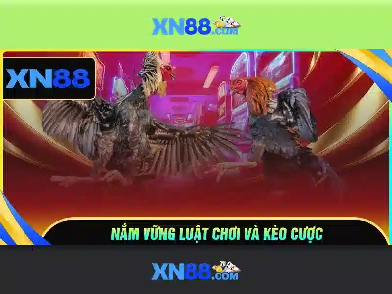 Giao diện người dùng và trải nghiệm