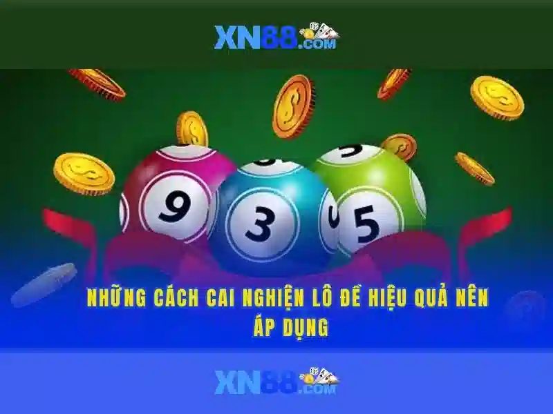 Một cái nhìn về xn88
