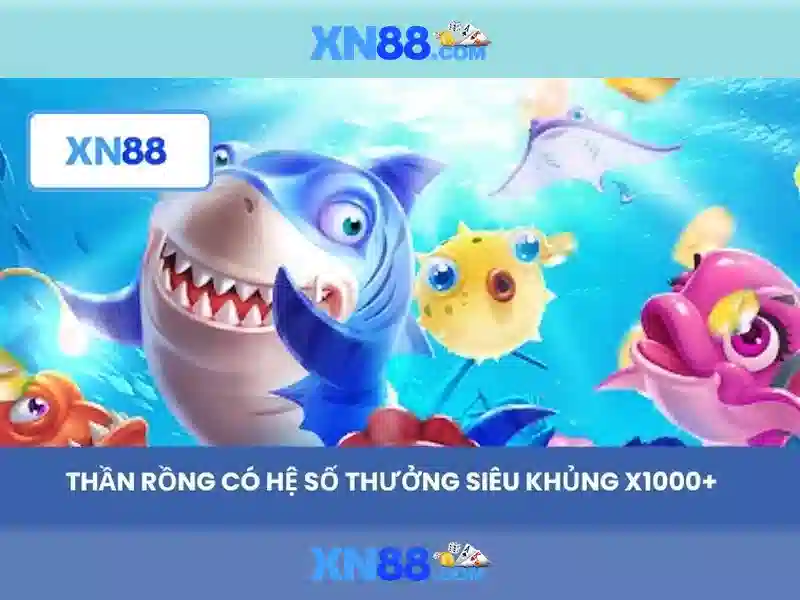 Tại sao chọn xn88?