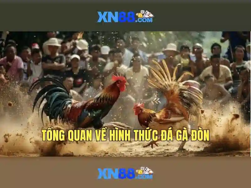 Xn88 là gì? Khái niệm và đặc điểm của nền tảng trò chơi trực tuyến