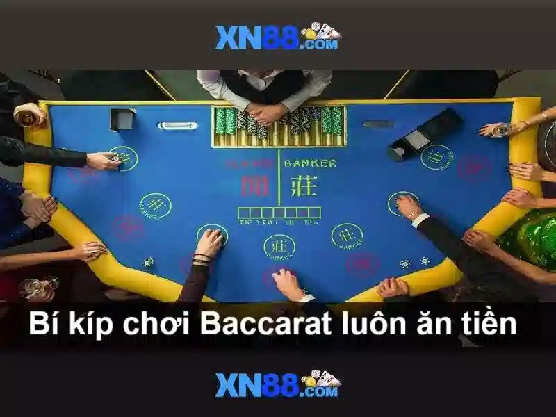 Phần mềm và cấp phép sử dụng
