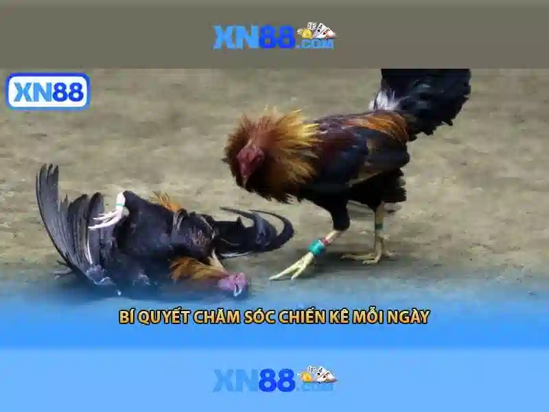 Các sản phẩm và trò chơi nổi bật