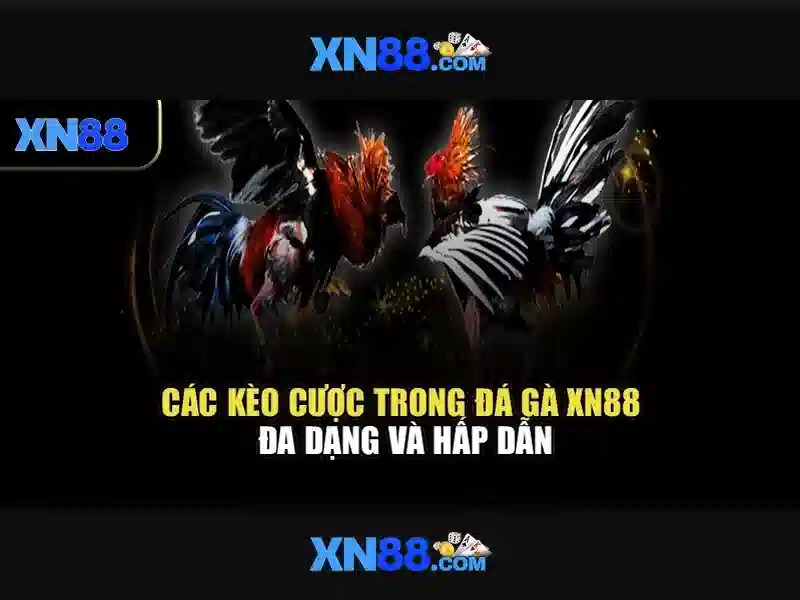 xn88: Tổng quan, trò chơi và trải nghiệm người dùng