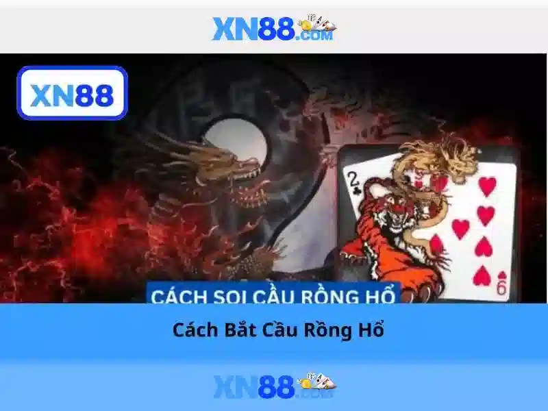 xn88 và thế giới số