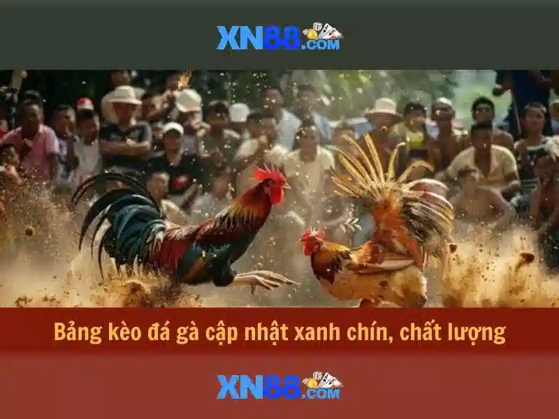 An toàn, pháp lý và lời khuyên khi tham gia xn88