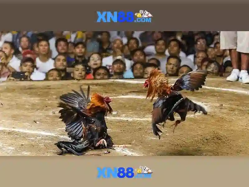 https xn88 app normal – Tổng quan chủ đề và giá trị cốt lõi