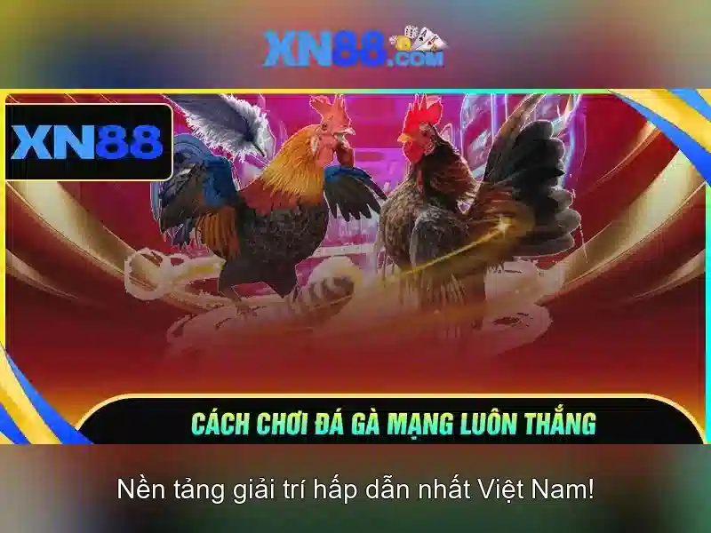 Giới thiệu xn88\n