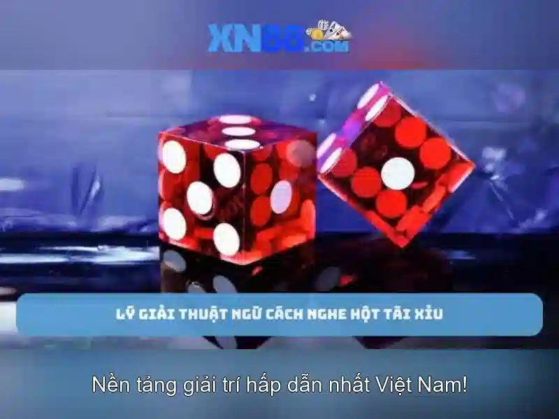 Tổng quan về xn88\n