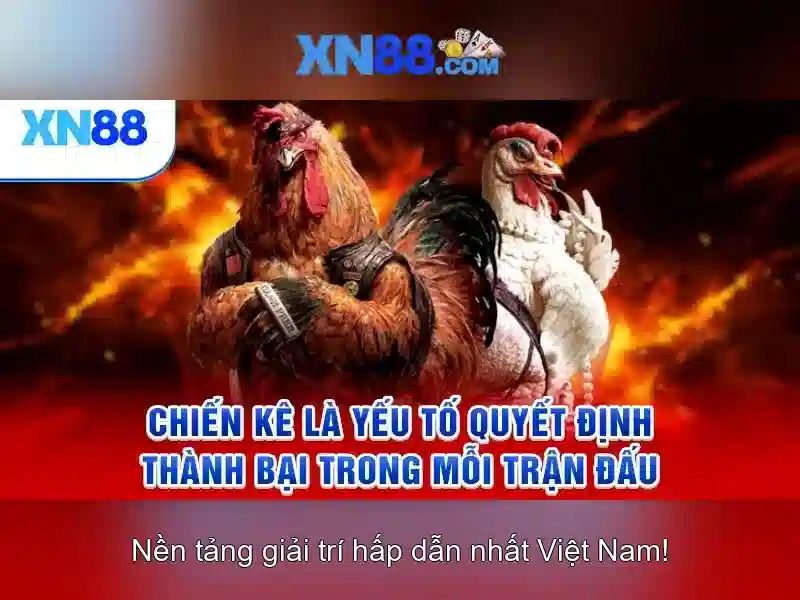 Giới thiệu về xn88\n