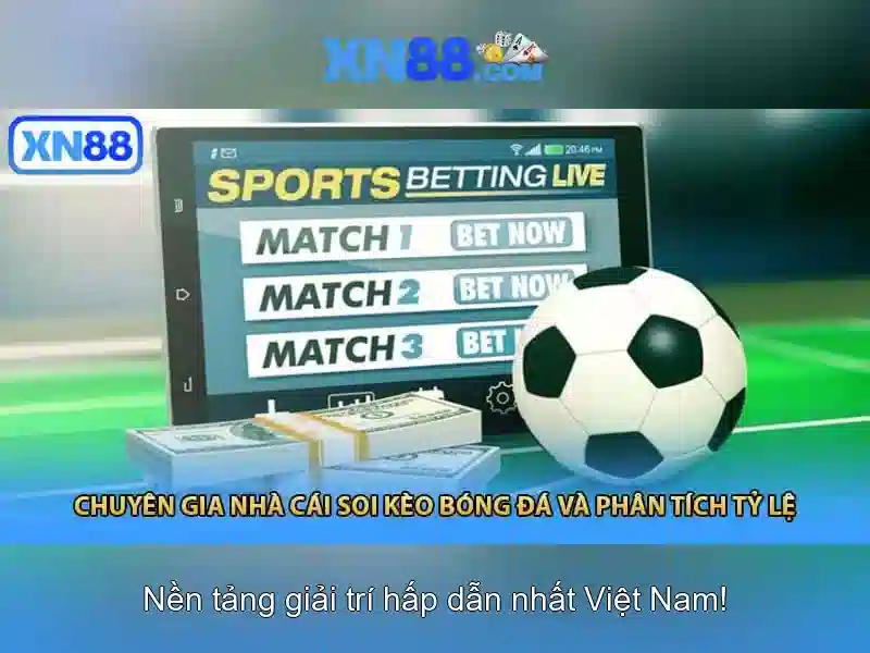 Hướng dẫn tham gia và lưu ý người chơi