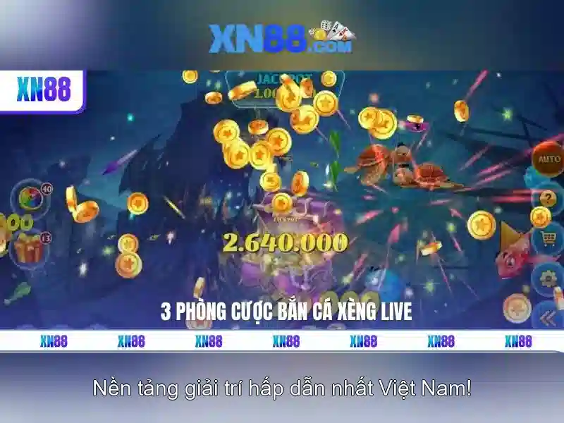 Hướng dẫn tham gia và lưu ý