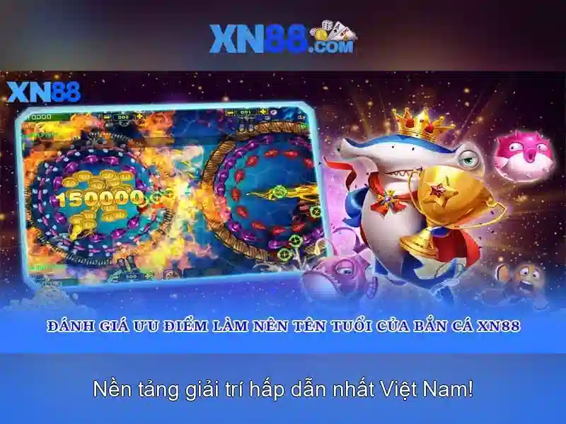 Giao diện và trải nghiệm người dùng