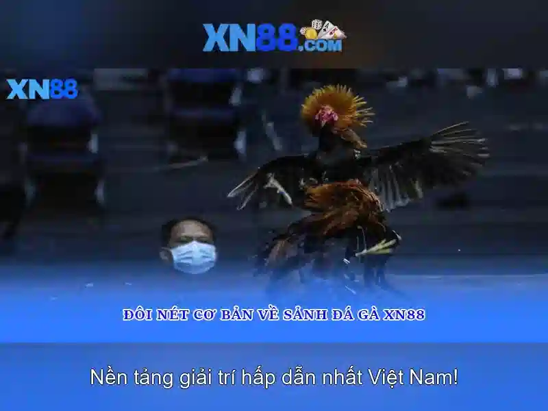 Giới thiệu về xn88