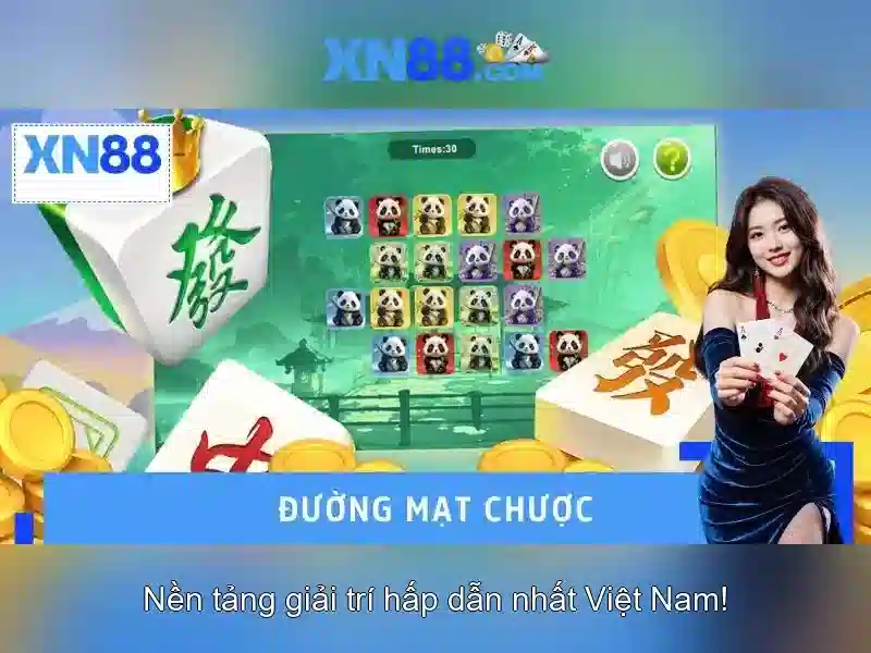 Xn88: khái quát nền tảng cá cược trực tuyến