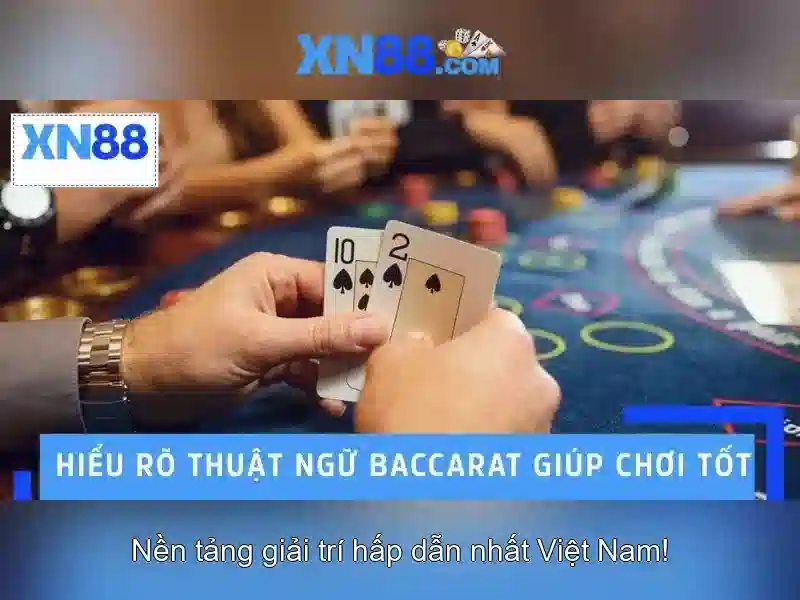 Hỗ trợ người chơi
