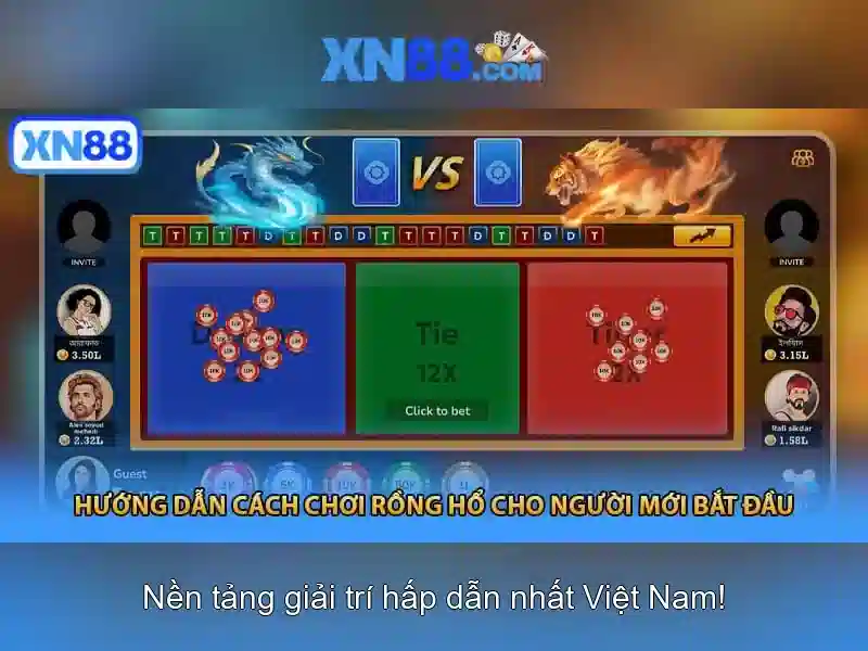 Lĩnh vực hoạt động\n\n
