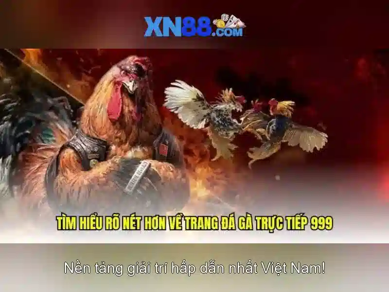Giới thiệu về xn88\n\n