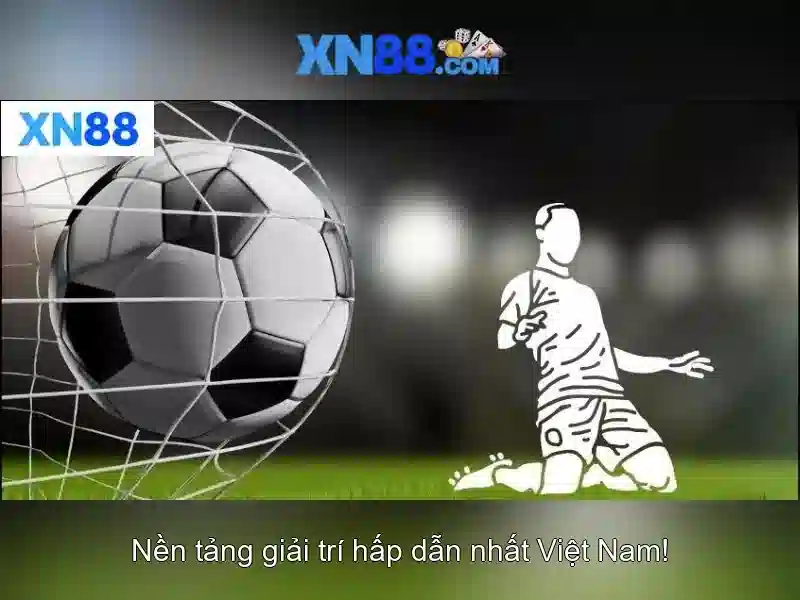 Kết luận và khuyến nghị