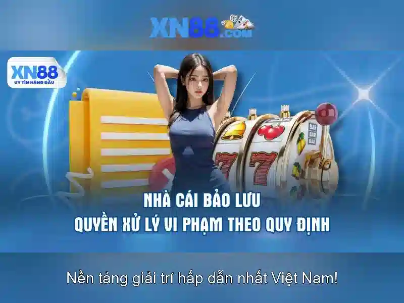 Lĩnh vực hoạt động của xn88\n\n