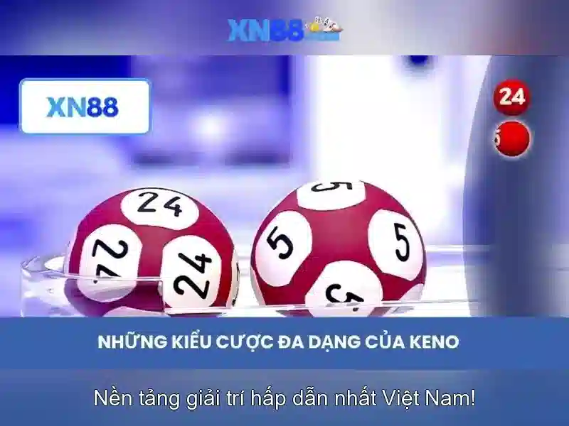 Các sản phẩm và dịch vụ của xn88