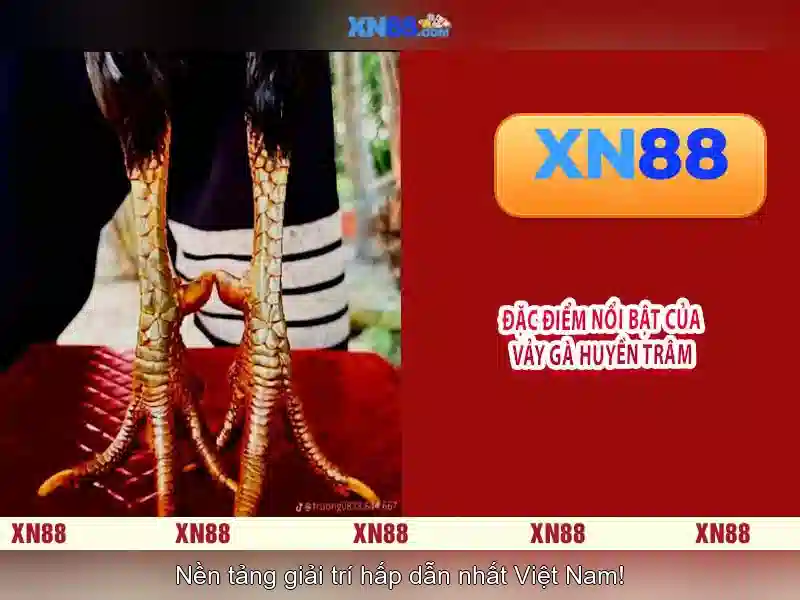 Khái niệm và phạm vi