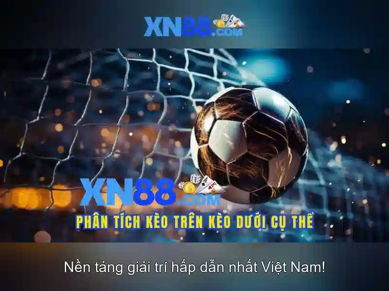 Lịch sử và nguồn gốc\n