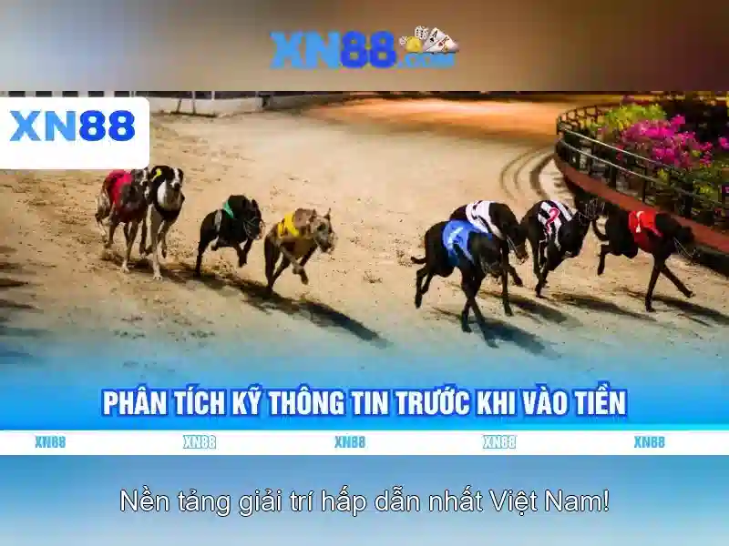 Lịch sử và phát triển