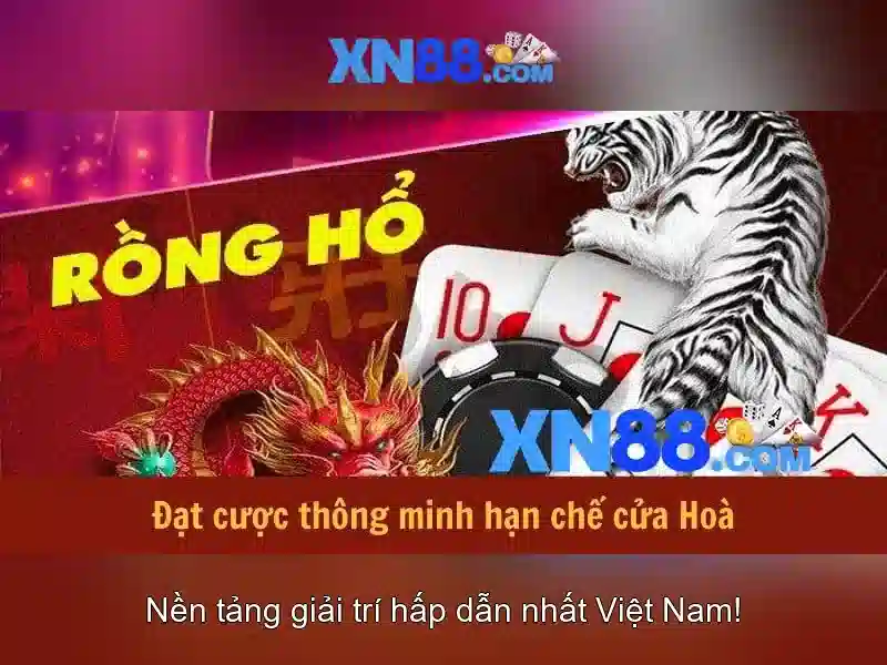 Xn88: Tổng quan về nền tảng giải trí trực tuyến