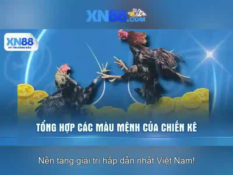 Cấu hình và trò chơi